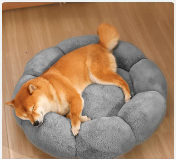 Calming Flower Plush Donut Cuddler Pet Bed ๐ธ๐พ