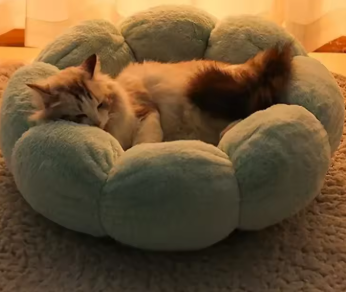 Calming Flower Plush Donut Cuddler Pet Bed ๐ธ๐พ