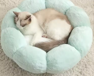 Calming Flower Plush Donut Cuddler Pet Bed ๐ธ๐พ